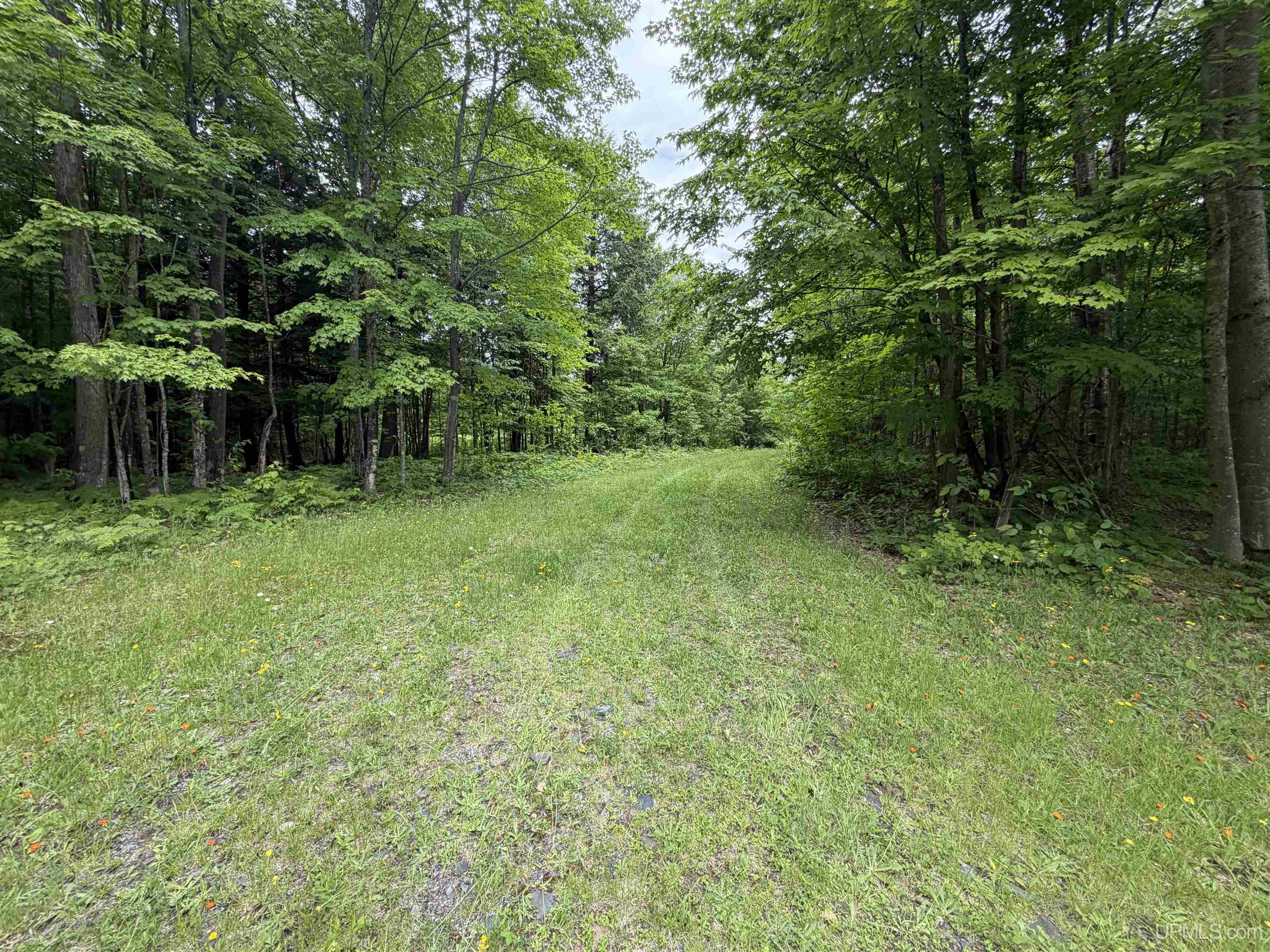 Tbd25.8 Skanee Road Skanee, MI 49962 - Photo 1 of 20