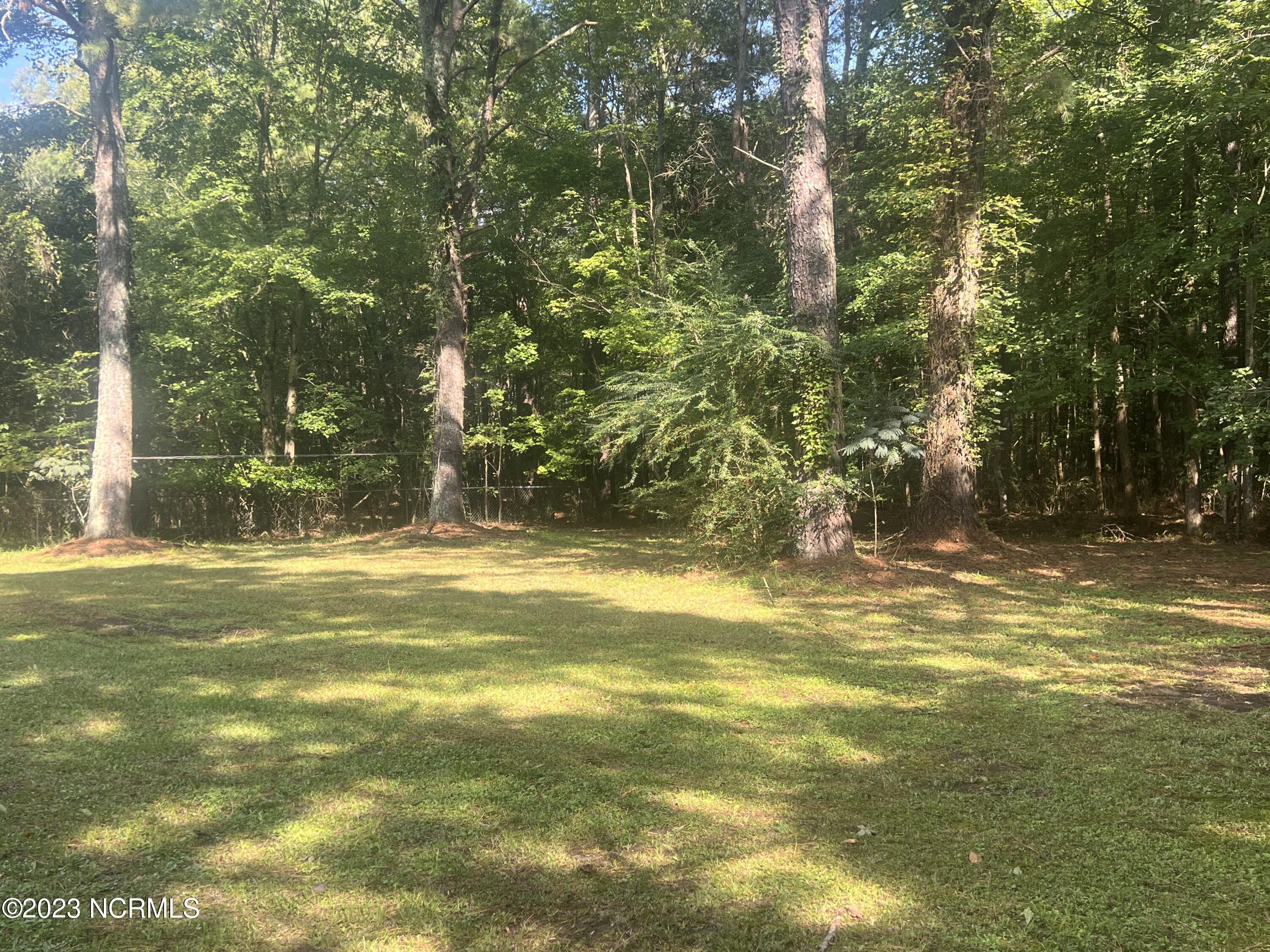 2970 Backwoods Road Roper, NC 27970 - Photo 8 of 8 Backyard