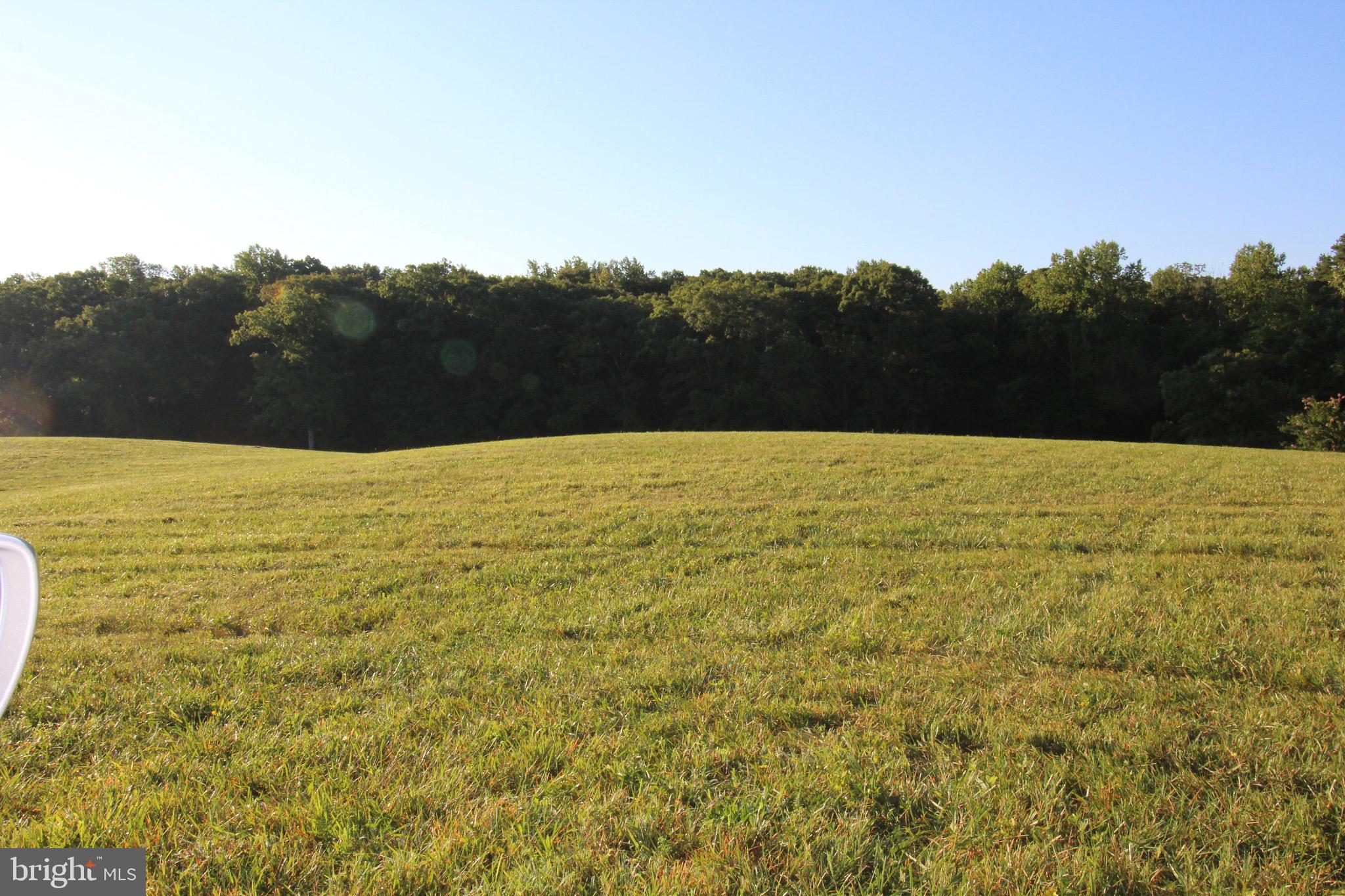 0 Sherbeyn Road, Unit LOT 5 Goldvein, VA 22720 - Photo 1 of 12 LOT 5 WITH 6 BEDROOM CONVENTIONAL PERK SITE