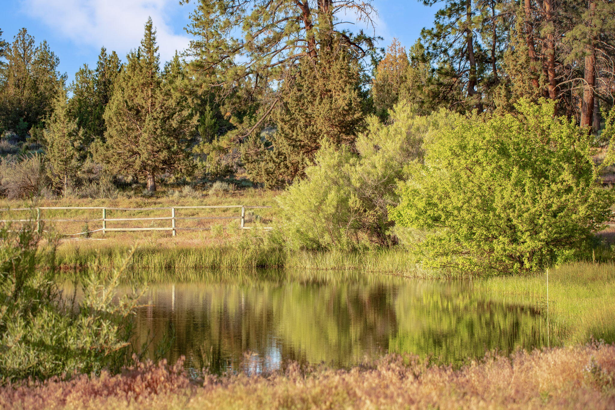 60360 Horse Butte Road Bend, OR 97702 - Photo 50 of 58