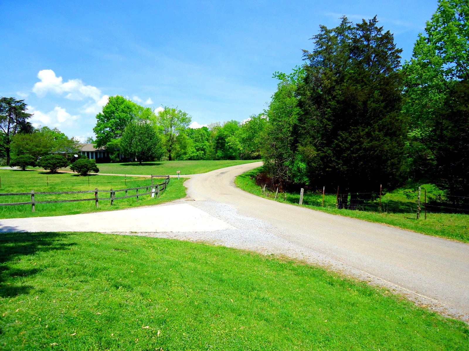 1163 Spring Road Madisonville, TN 37354 - Photo 9 of 40 09-DSC02069