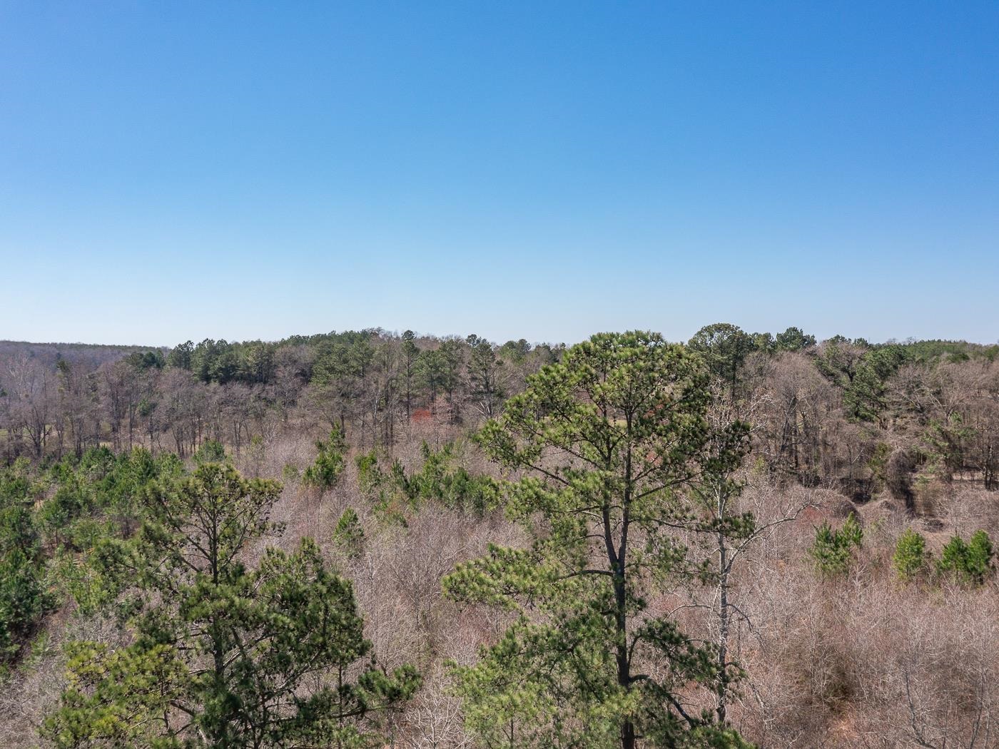 0 Robinson Road Greer, SC 29651 - Photo 4 of 9