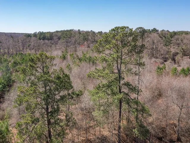 $275,000 | 0 Robinson Road, Greer, SC 29651