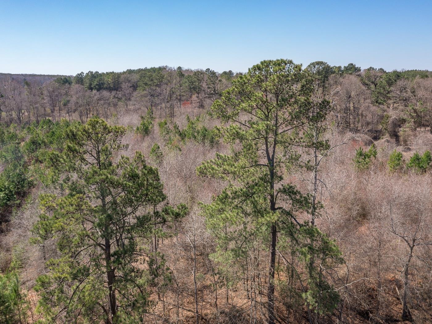 0 Robinson Road Greer, SC 29651 - Photo 5 of 9