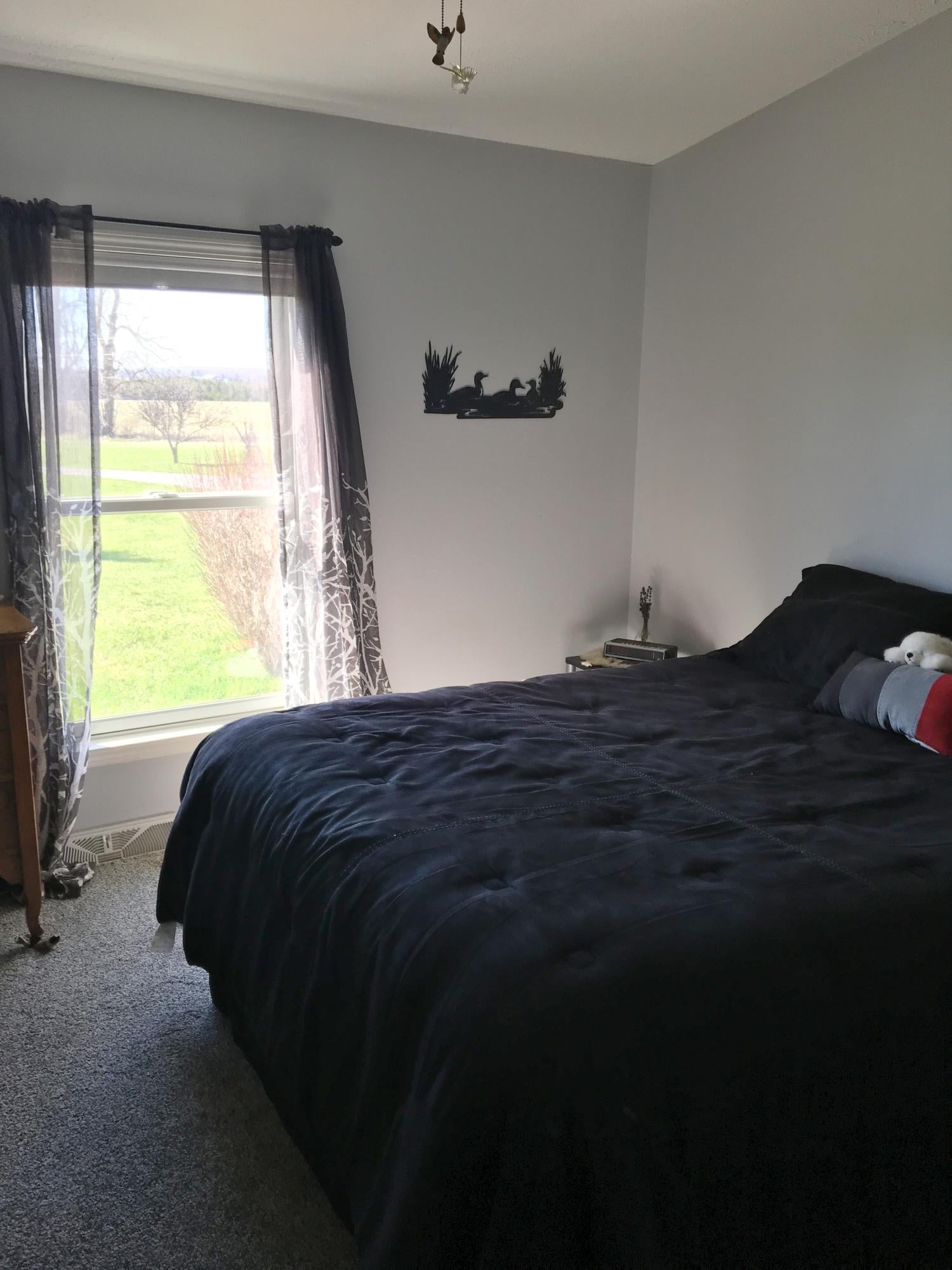 3645 Stinson Road Herron, MI 49744 - Photo 36 of 57 Gallery Image 36