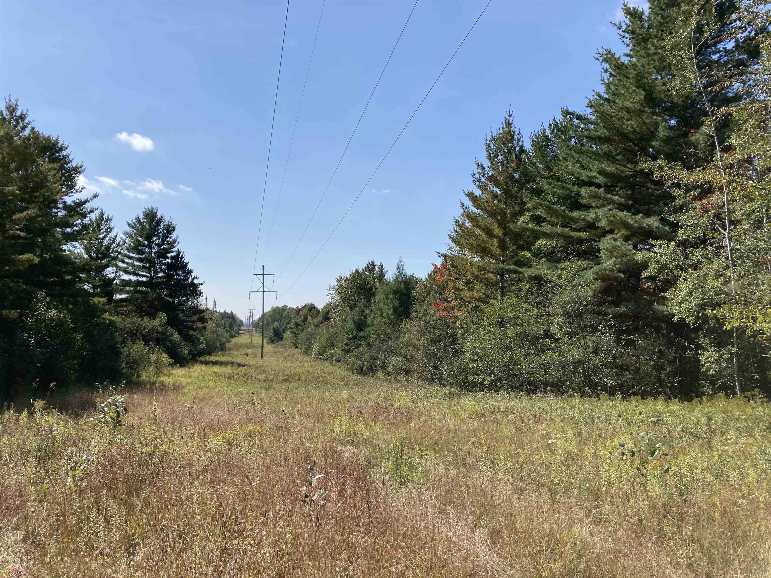 N/a Knepp Road Fairview, MI 48621 - Photo 10 of 12