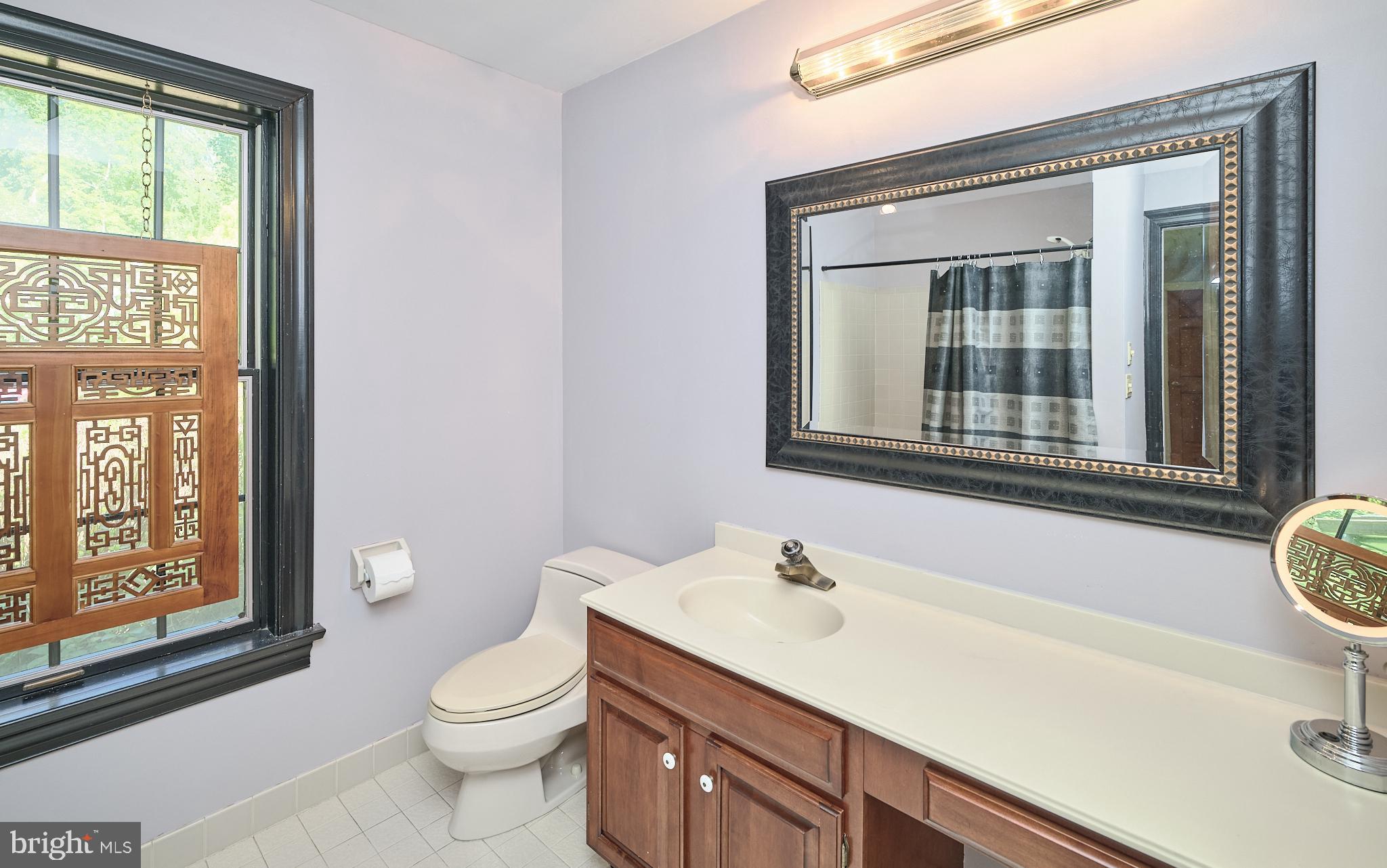 3720 Windy Bush Road New Hope, PA 18938 - Photo 39 of 45 Main Floor Guest Ensuite Bath