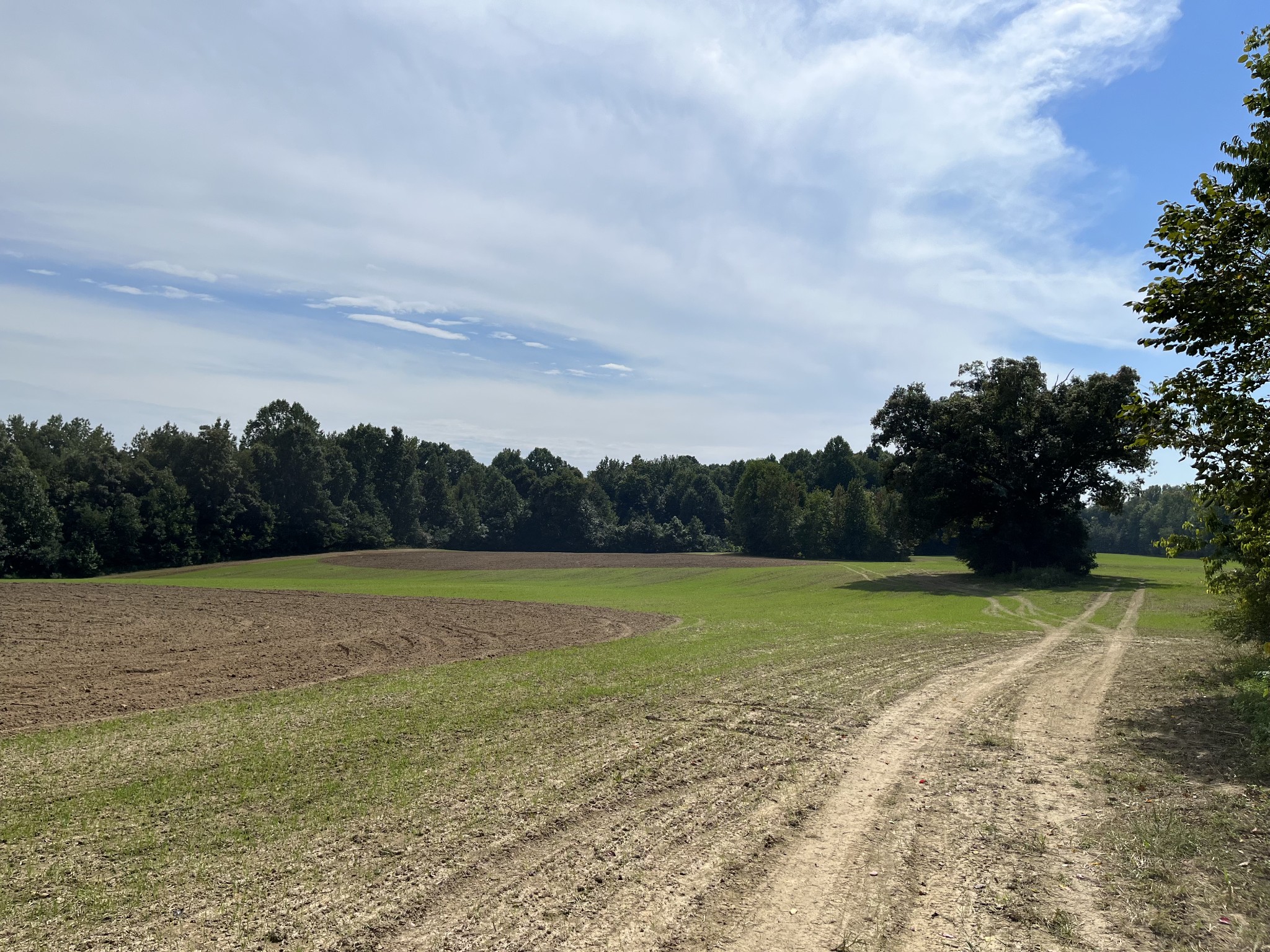 366 Parker Road Portland, TN 37148 - Photo 8 of 12
