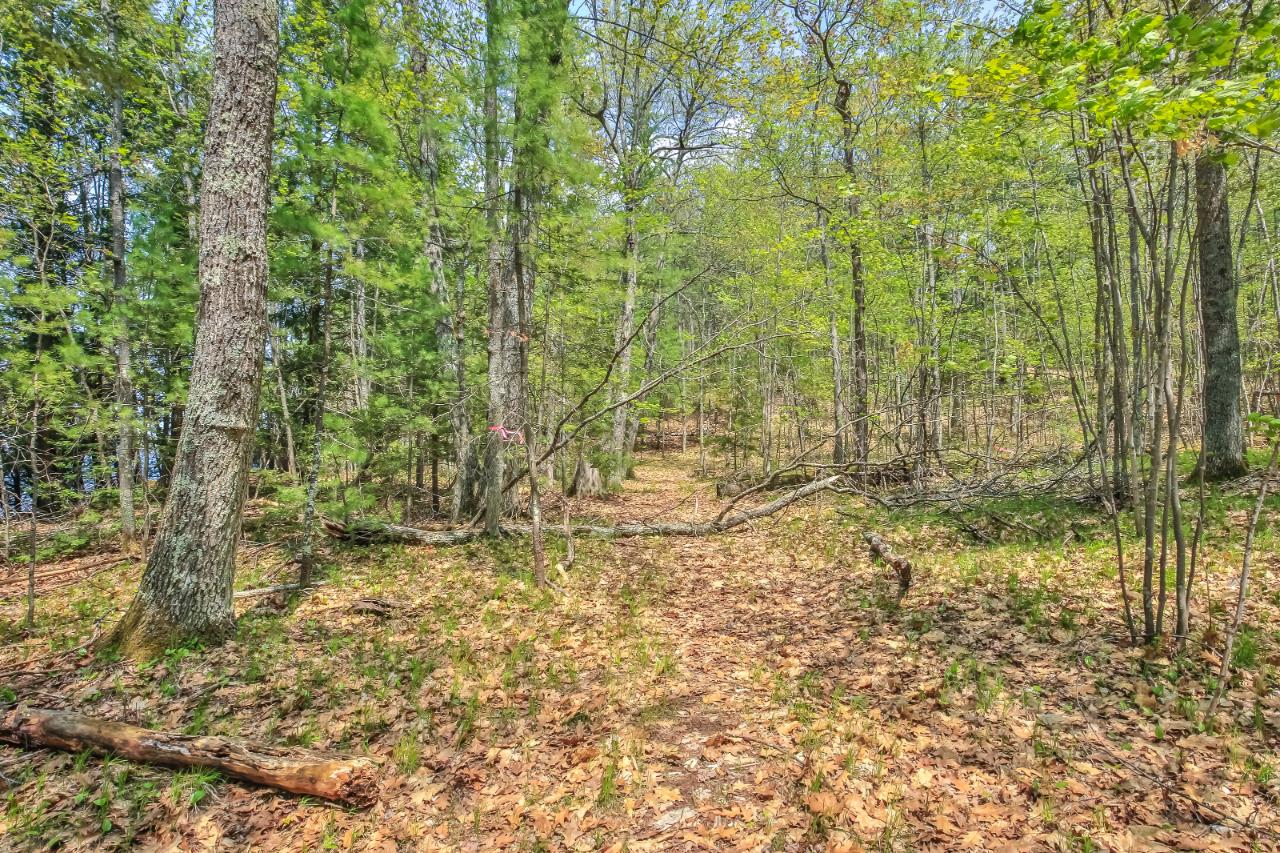 On Squirrel Lake Road, Unit LOT #2 Minocqua, WI 54548 - Photo 16 of 25 Gallery Image 16