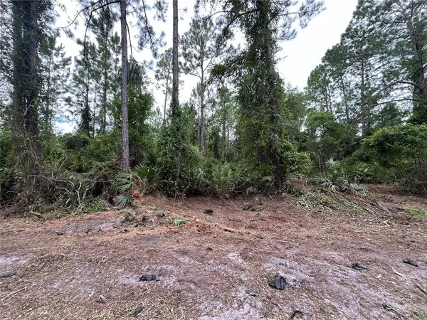 $12,400 | 147 Roebuck Road, Georgetown, FL 32139