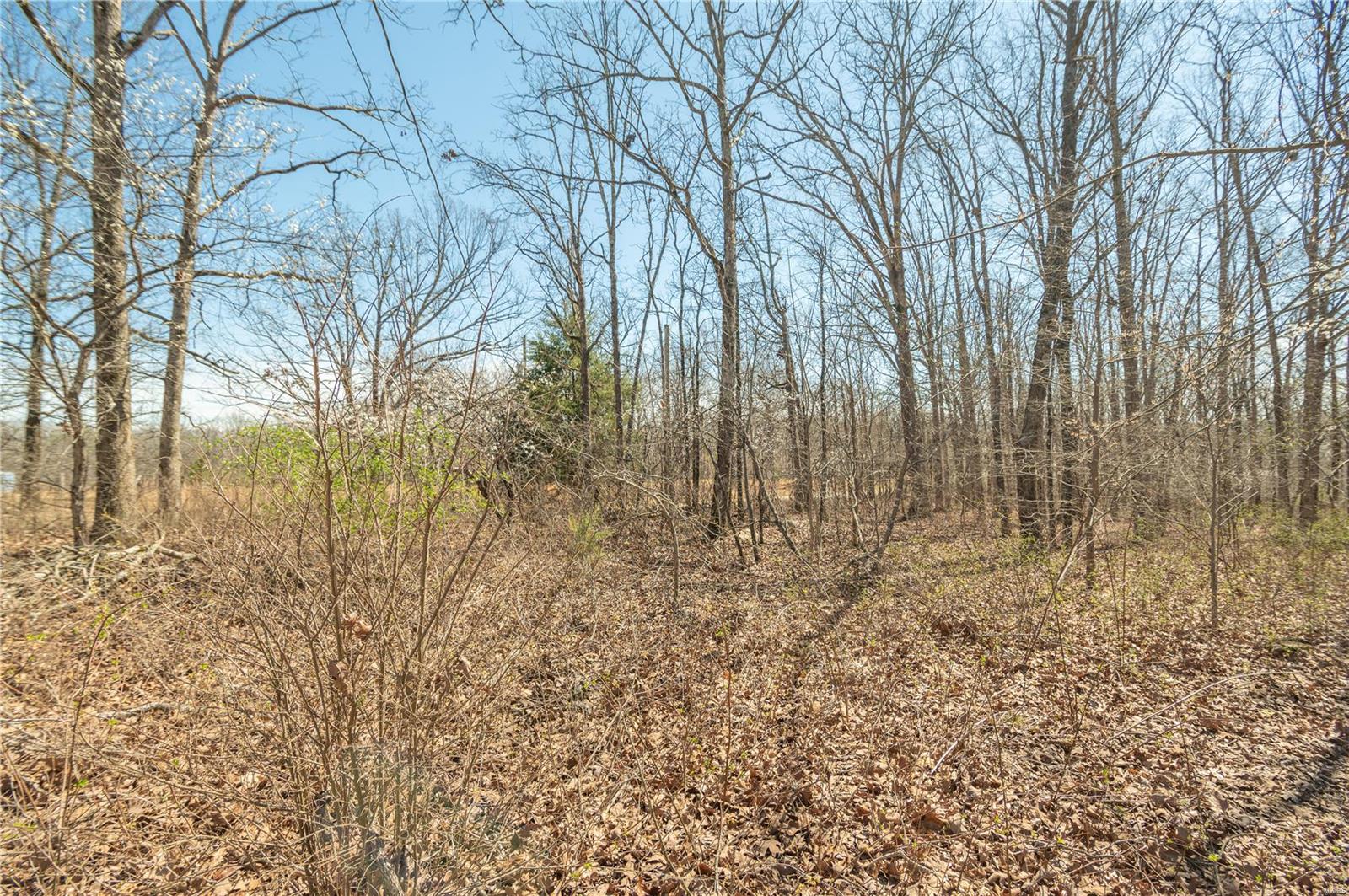 56 Arnold Road Wappapello, MO 63966 - Photo 26 of 28