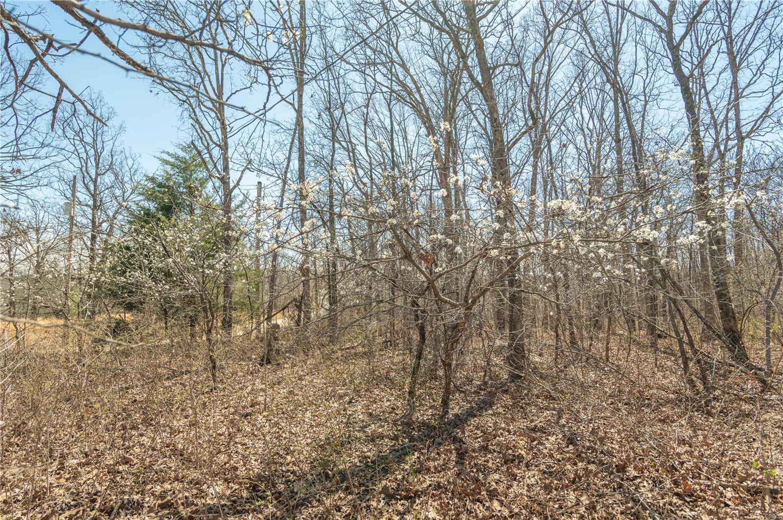 56 Arnold Road Wappapello, MO 63966 - Photo 27 of 28