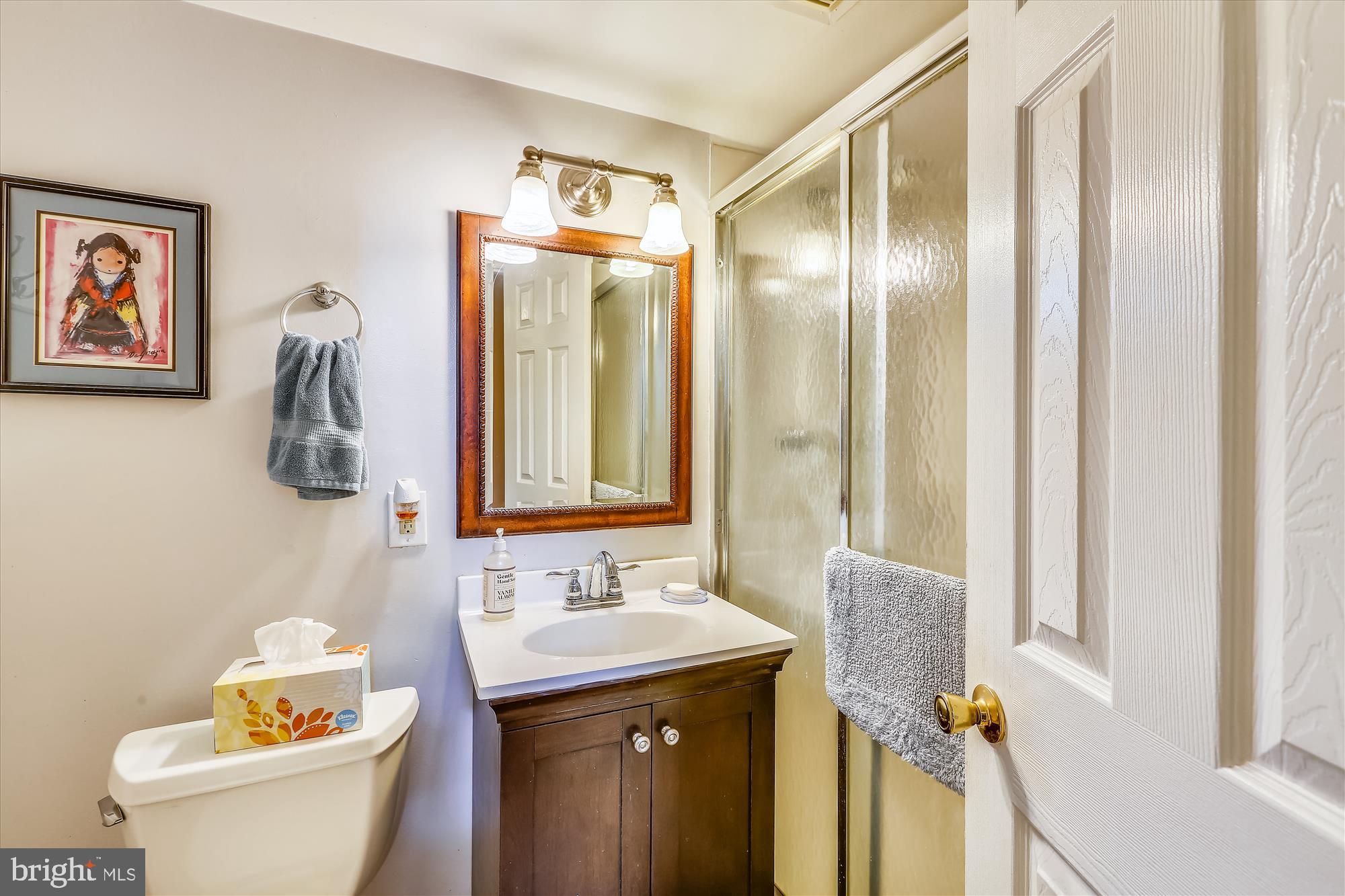 1701 Woodwell Road Silver Spring, MD 20906 - Photo 26 of 33 Downstairs bath