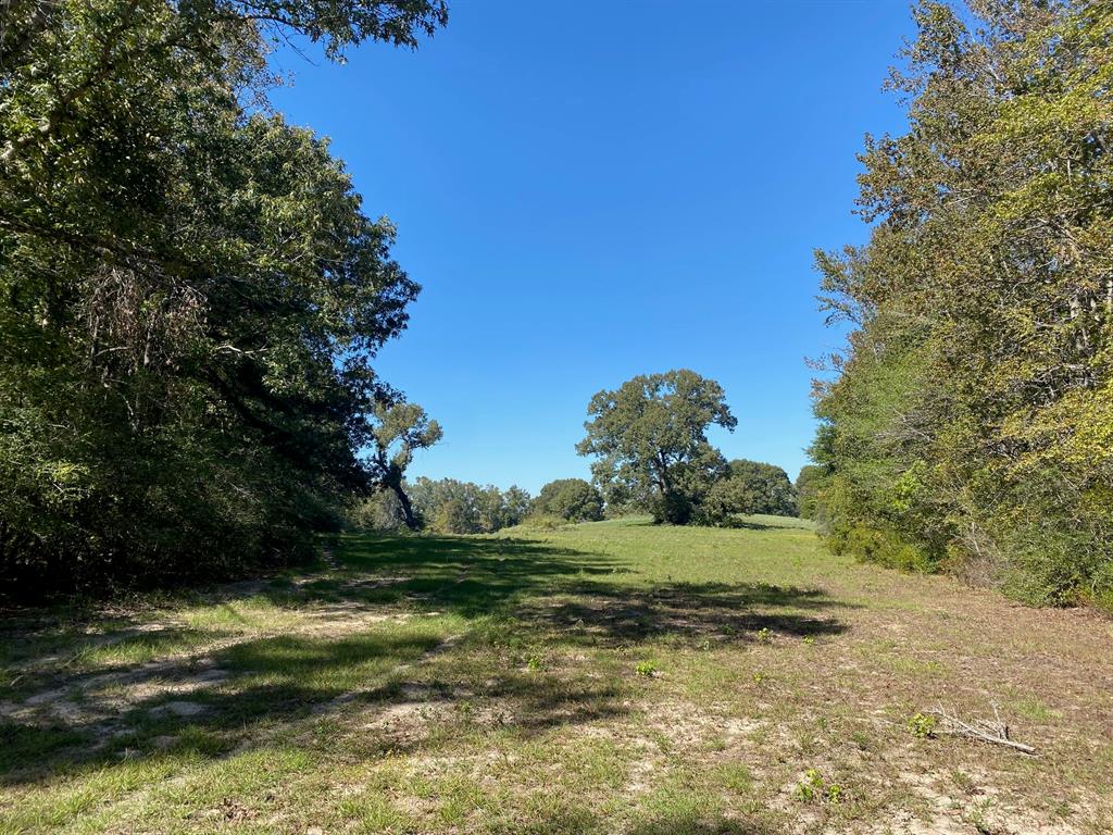 010 County Road Oakwood, TX 75855 - Photo 1 of 1 Gallery Image 1