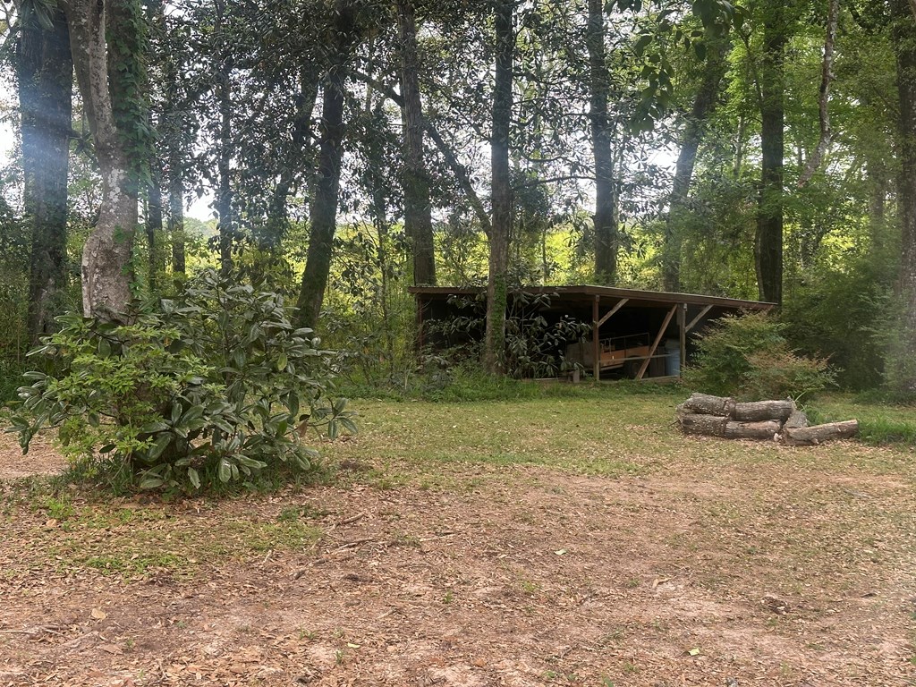 132 Choc Hills Road Dothan, AL 36303 - Photo 5 of 50 Gallery Image 5