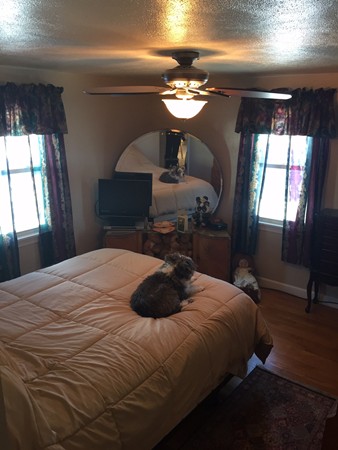 182 Edendale Street Springfield, MA 01104 - Photo 11 of 25 Gallery Image 11