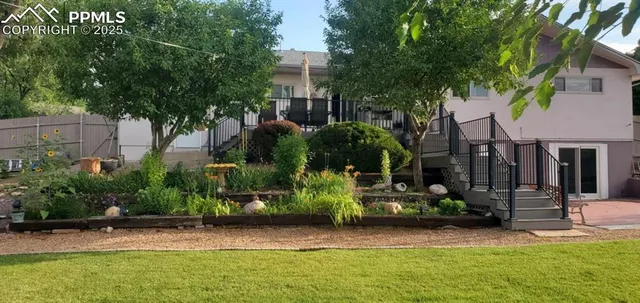a view of a yard with potted plants