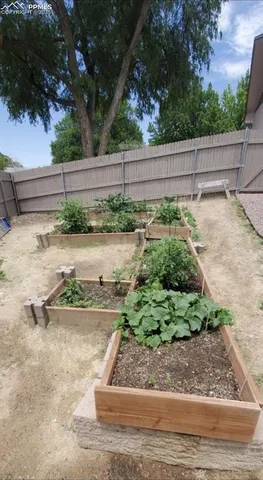 a view of a backyard with a trees