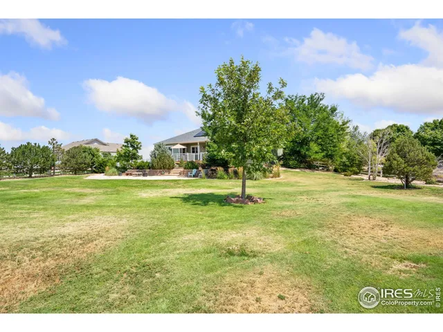 a view of a park with large trees