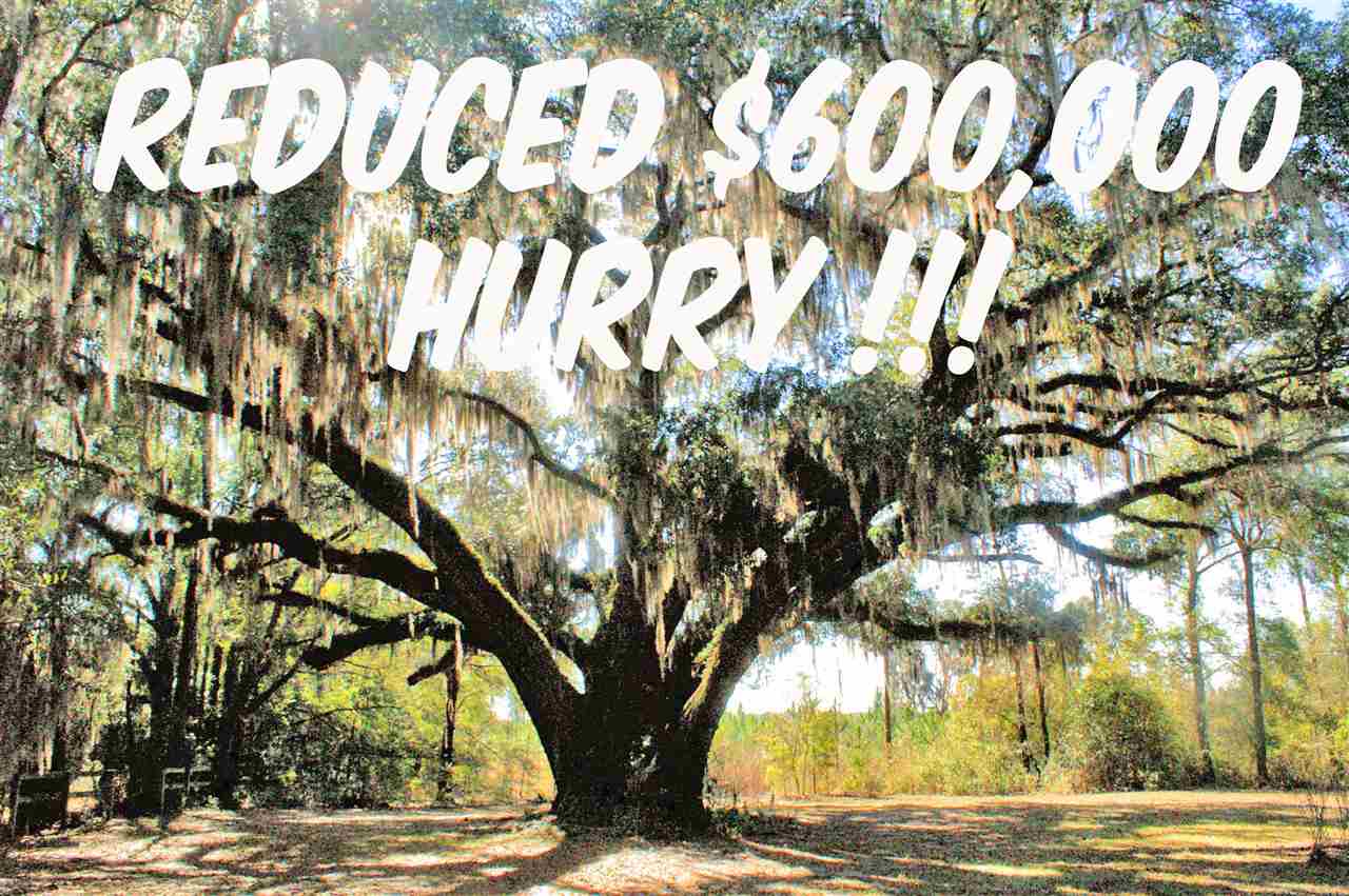 1825 Northwest Farm Center Road Madison, FL 32340 - Photo 13 of 13