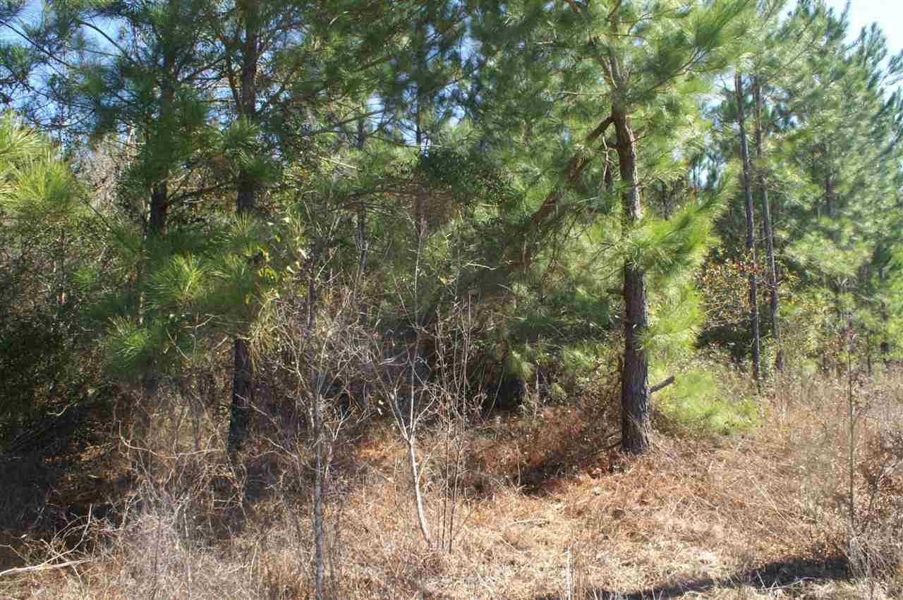 1825 Northwest Farm Center Road Madison, FL 32340 - Photo 6 of 13