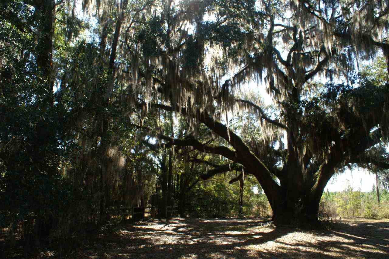 1825 Northwest Farm Center Road Madison, FL 32340 - Photo 7 of 13