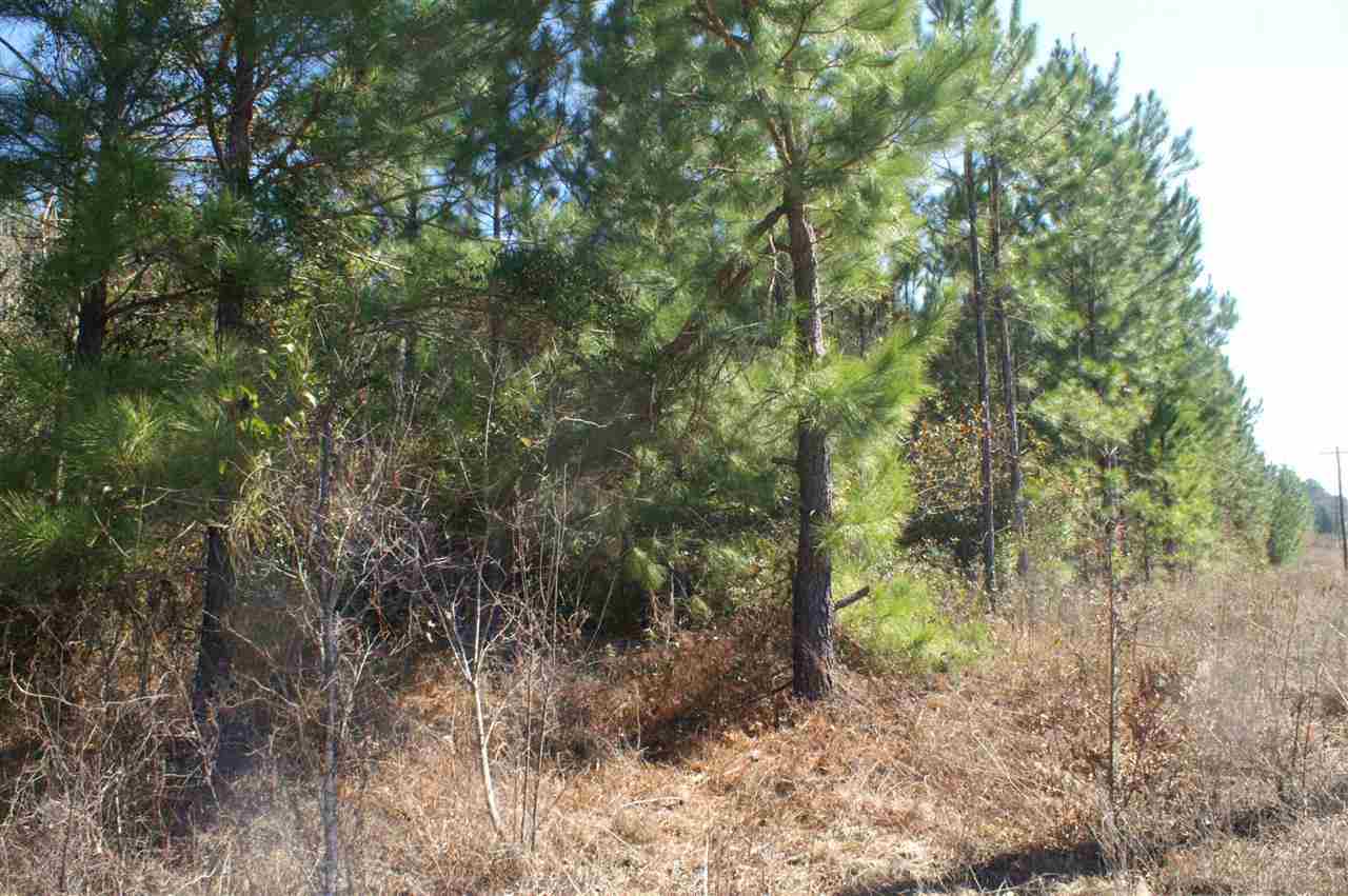 1825 Northwest Farm Center Road Madison, FL 32340 - Photo 8 of 13