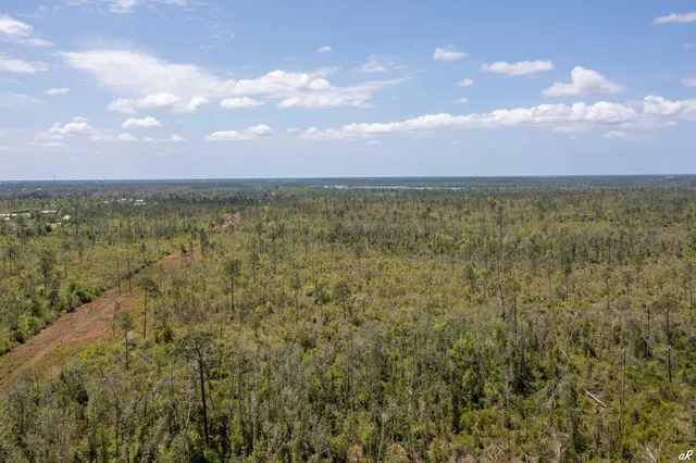 a view of city and lake