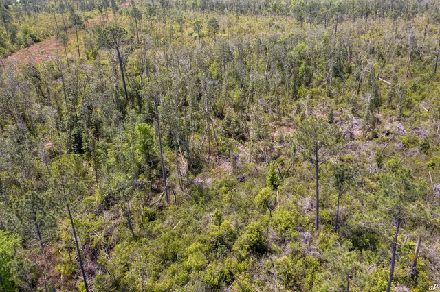 a view of a covered with green field