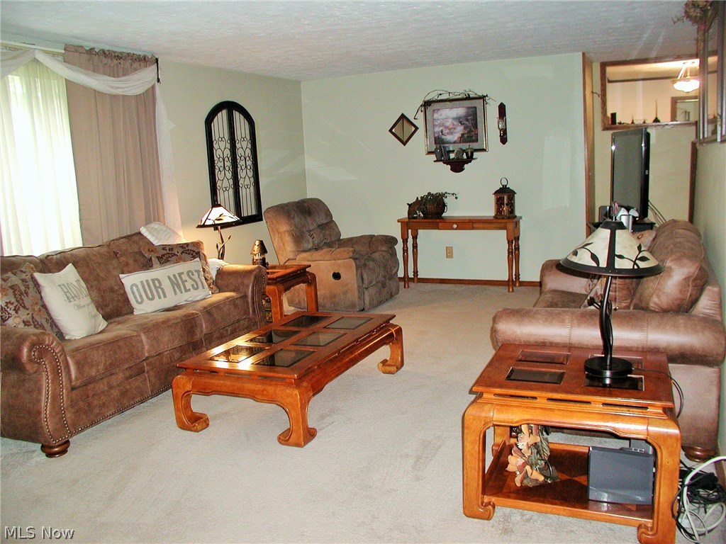 4226 Mayham Road Northeast Carrollton, OH 44615 - Photo 5 of 23 Spacious Living Room w/great decor
