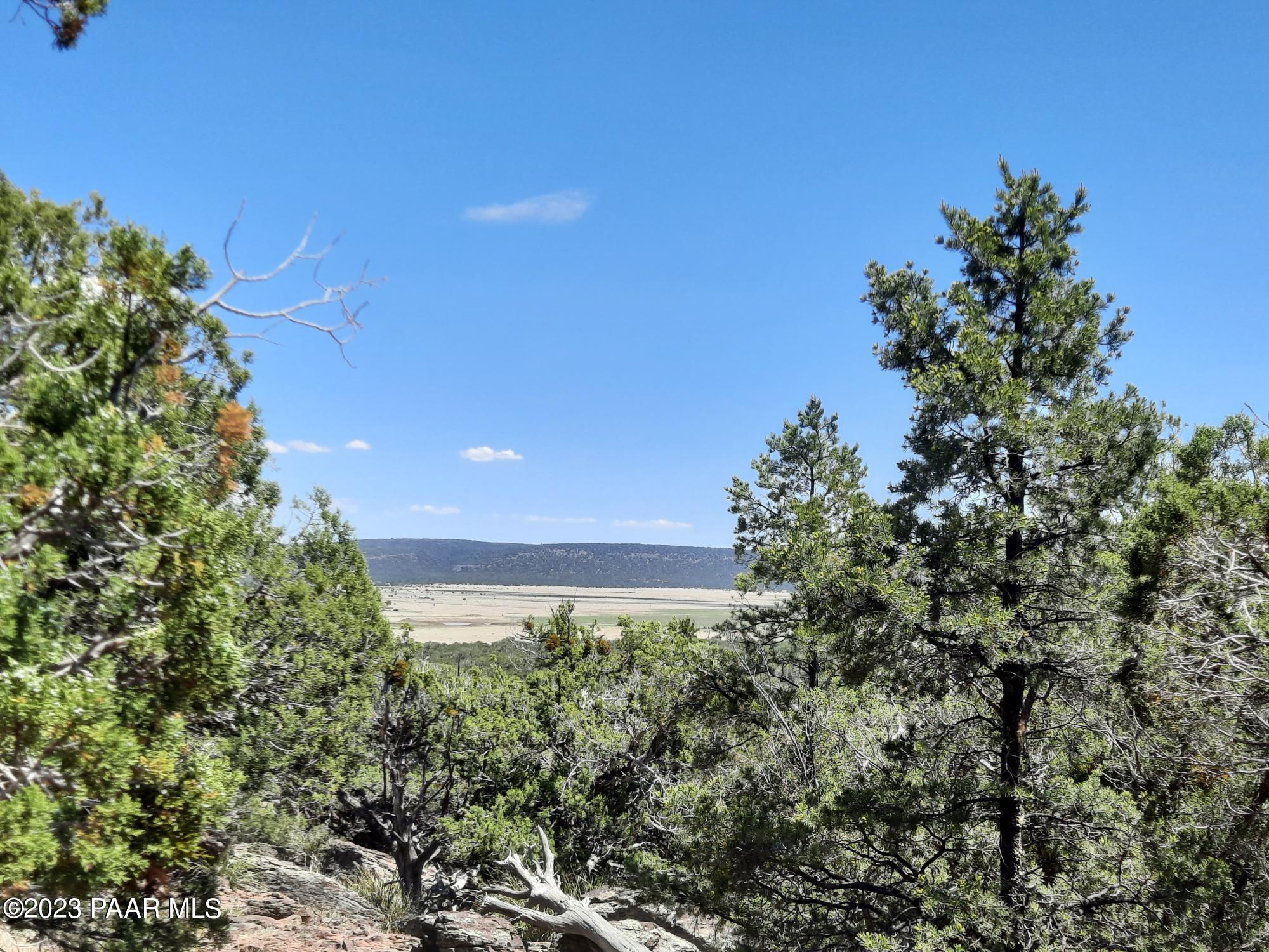 Lot 83 Juniper Ranch Road Williams, AZ 86046 - Photo 6 of 16 20230523_134003