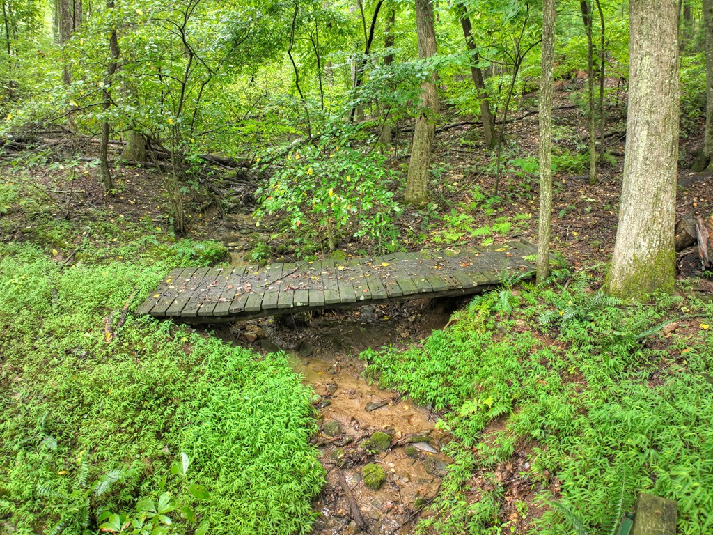 430 Chestnut Ridge Circle Blue Ridge, GA 30513 - Photo 11 of 52