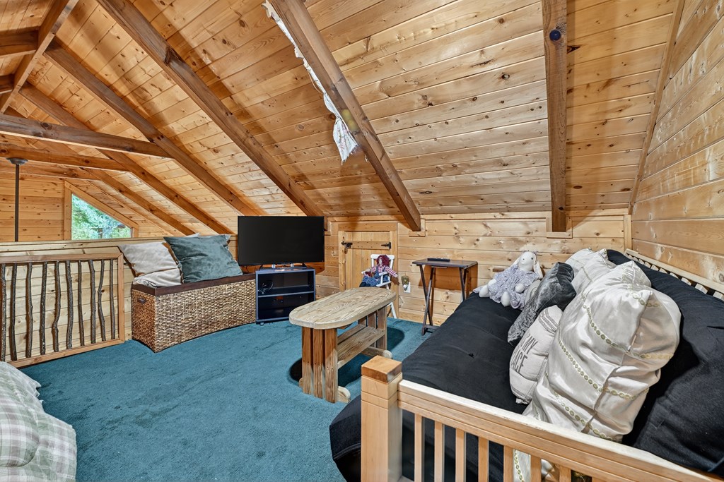 430 Chestnut Ridge Circle Blue Ridge, GA 30513 - Photo 25 of 52