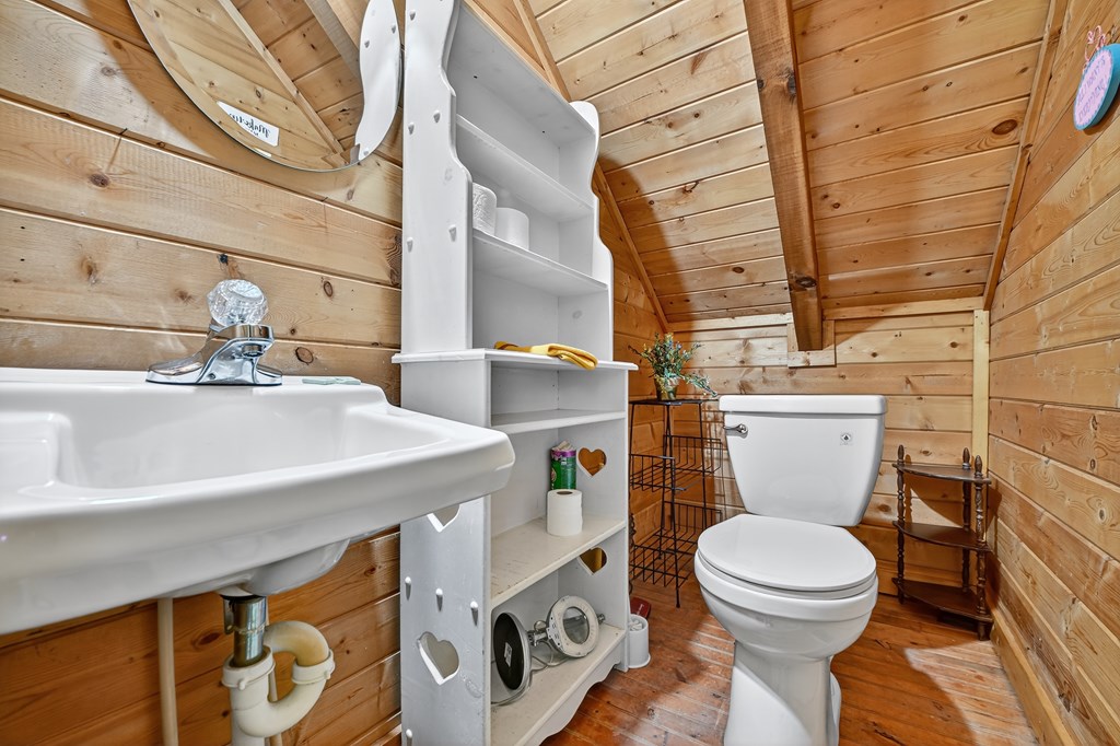 430 Chestnut Ridge Circle Blue Ridge, GA 30513 - Photo 26 of 52