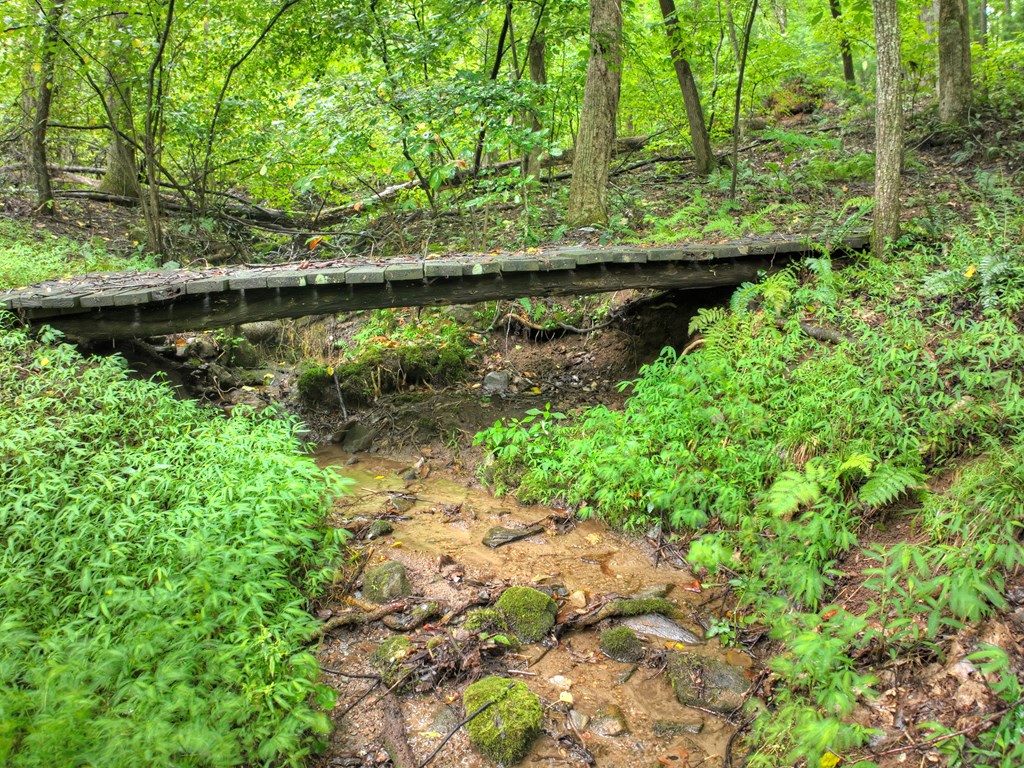 430 Chestnut Ridge Circle Blue Ridge, GA 30513 - Photo 3 of 52