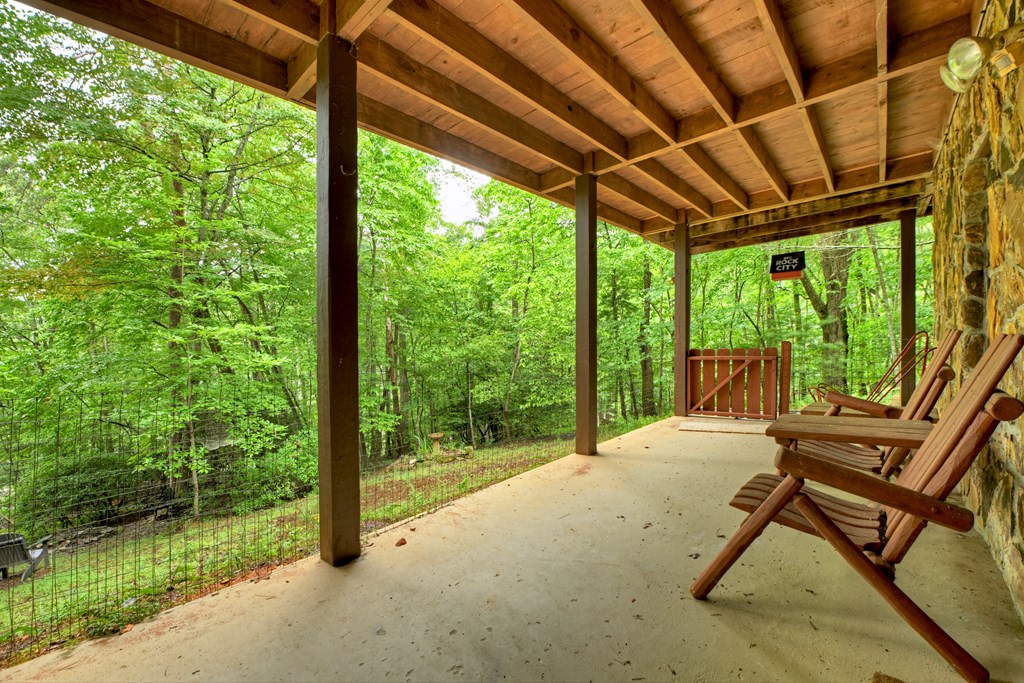 430 Chestnut Ridge Circle Blue Ridge, GA 30513 - Photo 31 of 52