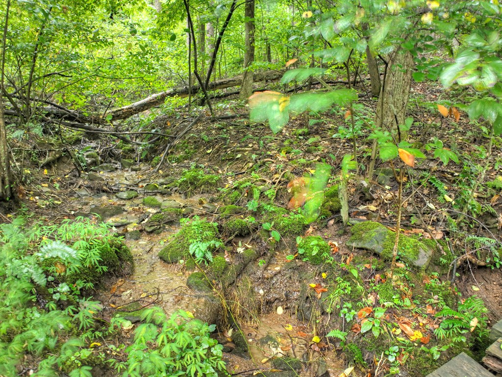 430 Chestnut Ridge Circle Blue Ridge, GA 30513 - Photo 35 of 52