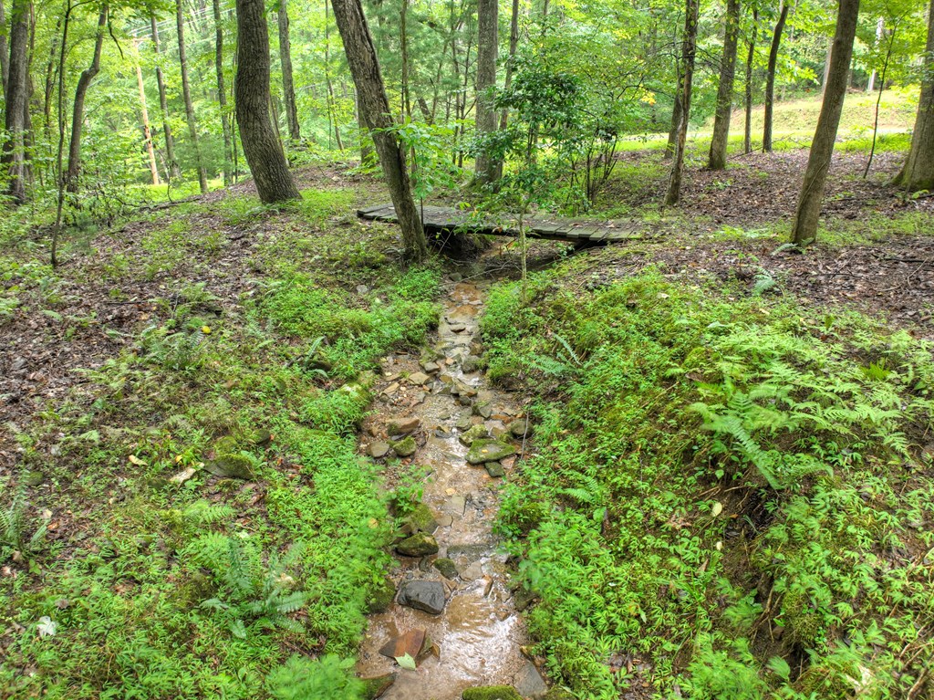 430 Chestnut Ridge Circle Blue Ridge, GA 30513 - Photo 36 of 52