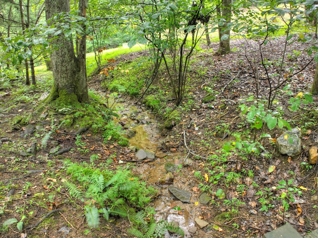 430 Chestnut Ridge Circle Blue Ridge, GA 30513 - Photo 38 of 52