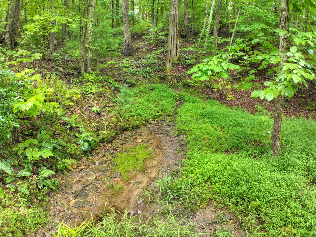 430 Chestnut Ridge Circle Blue Ridge, GA 30513 - Photo 39 of 52
