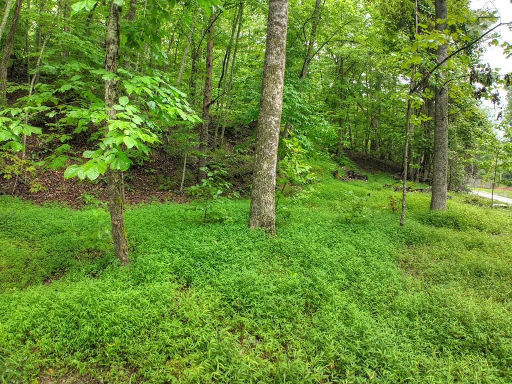430 Chestnut Ridge Circle Blue Ridge, GA 30513 - Photo 40 of 52