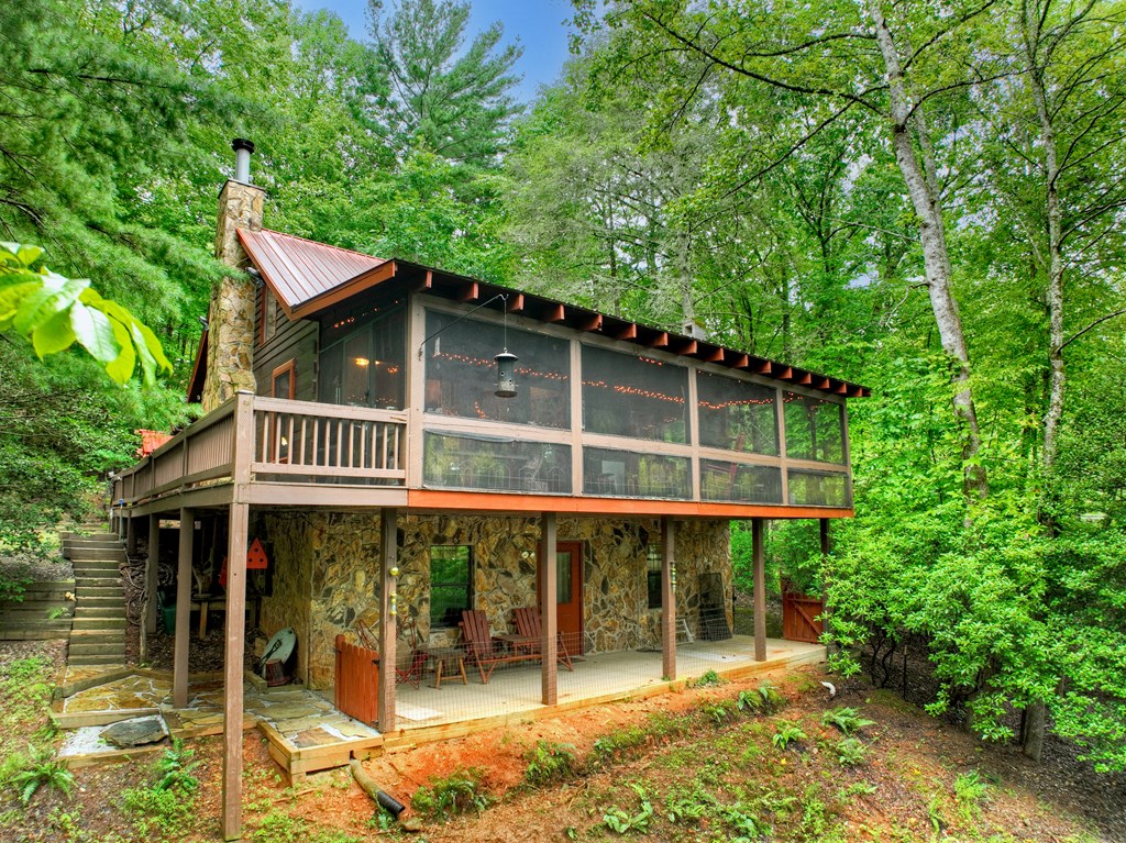 430 Chestnut Ridge Circle Blue Ridge, GA 30513 - Photo 42 of 52