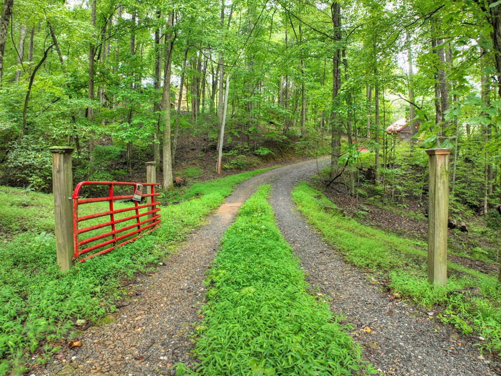 430 Chestnut Ridge Circle Blue Ridge, GA 30513 - Photo 44 of 52