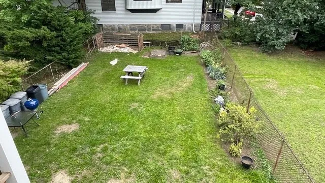 a view of a backyard with plants and a patio