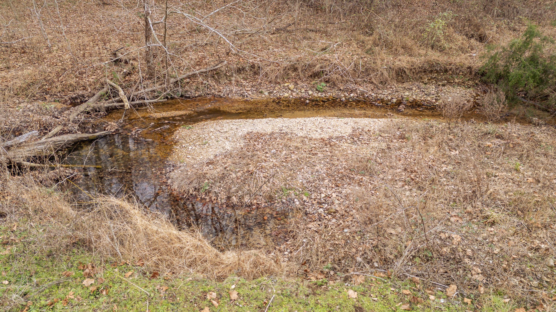 1709 Downing Hollow Road Waynesboro, TN 38485 - Photo 11 of 68