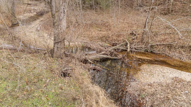 a view of a yard with an outdoor space
