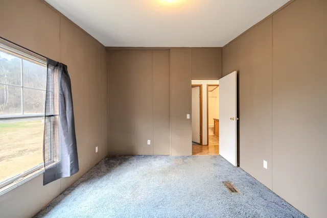 a close up of a plant