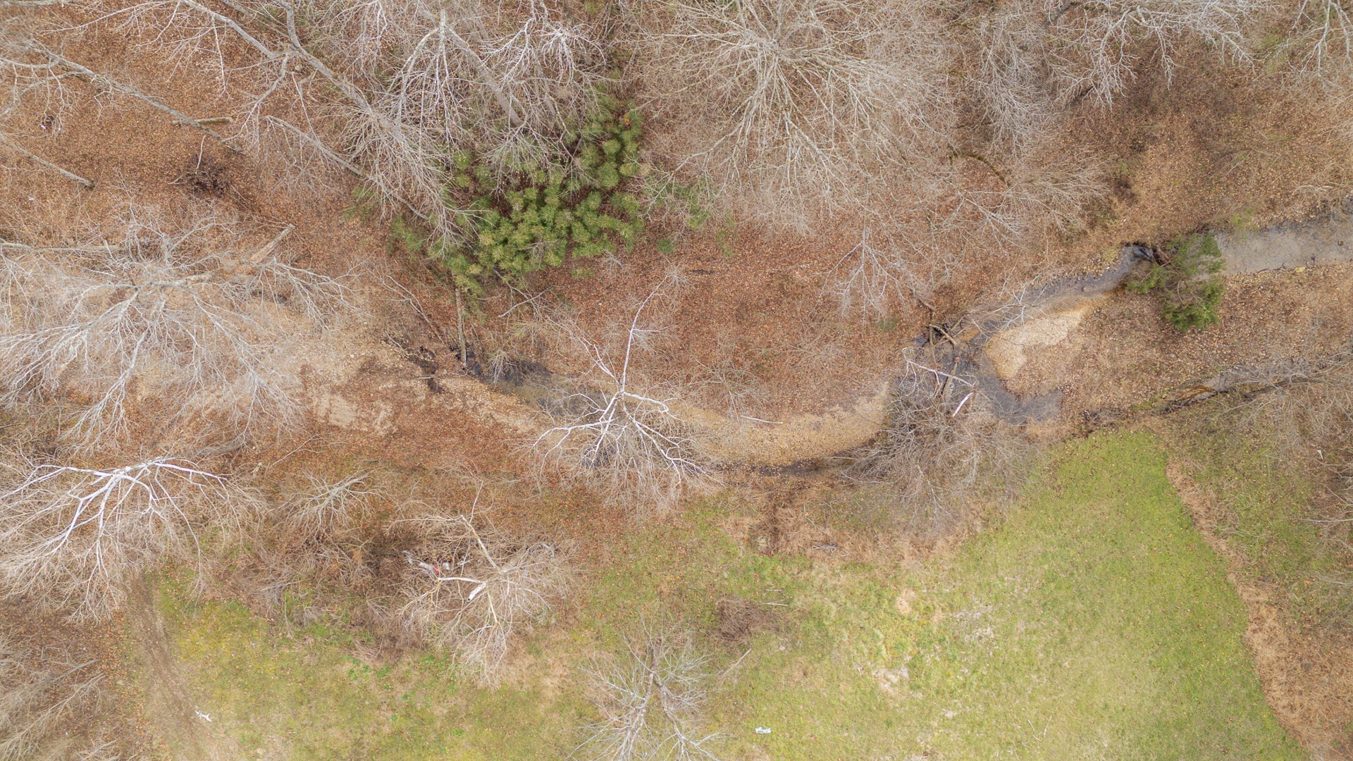 1709 Downing Hollow Road Waynesboro, TN 38485 - Photo 57 of 68