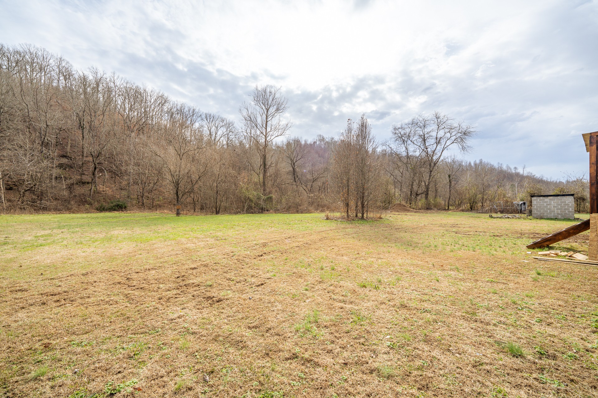 1709 Downing Hollow Road Waynesboro, TN 38485 - Photo 6 of 68