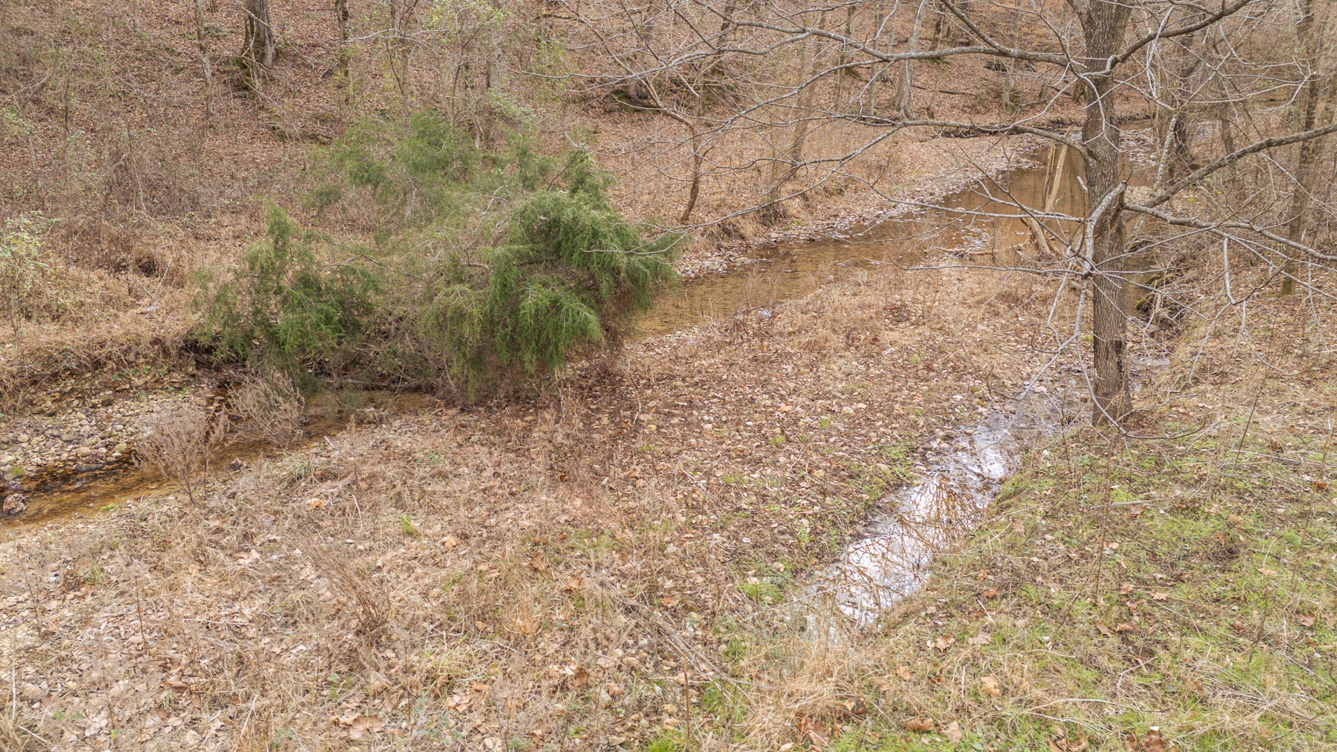 1709 Downing Hollow Road Waynesboro, TN 38485 - Photo 10 of 68